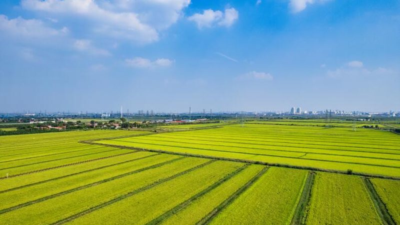 大棚农资全套采购价格明细