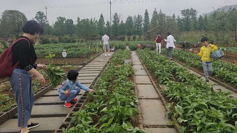 上海家庭农场营业执照办理：流程详解与注意事项**