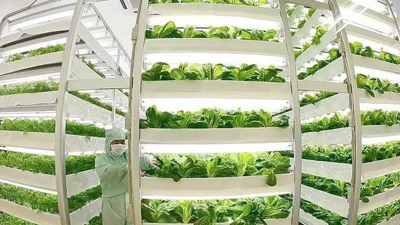 农产品配送物流费用主要包括以下几个方面：