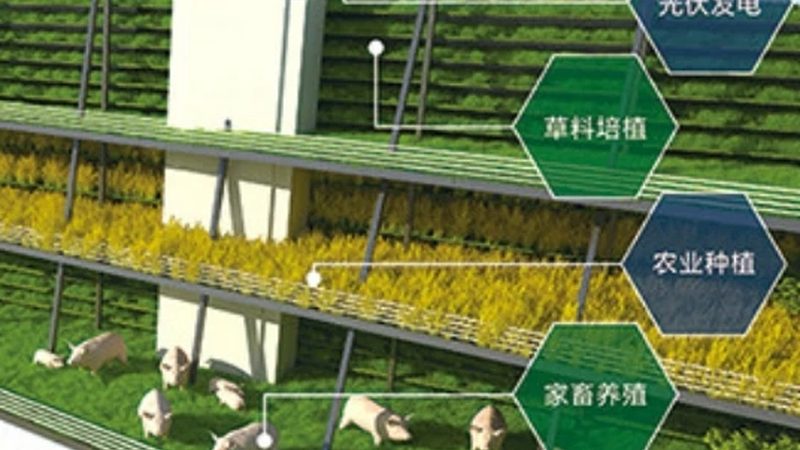 农业项目标准规范：解码绿色种植的密码