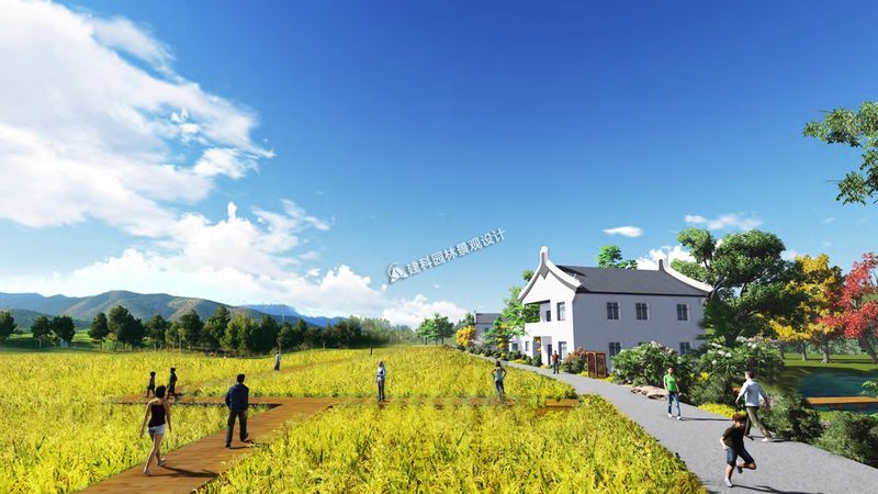 屋顶农业种植加盟代理：开启立体农业新篇章