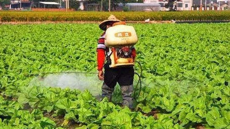 生鲜配送公司价格排名背后的考量因素
