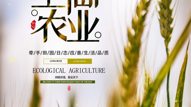 有机蔬菜与普通蔬菜：保存时长大揭秘