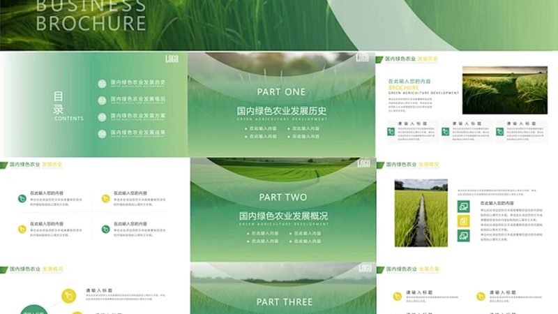 农产品配送公司分拣标准的奥秘